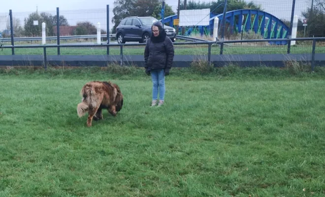 Un éducateur canin 🐕 autour de moi à Baralle 