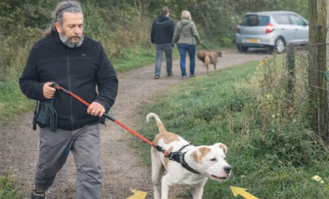 Relation avec mon chien, Cambrai, Centre canin Michel Gioé