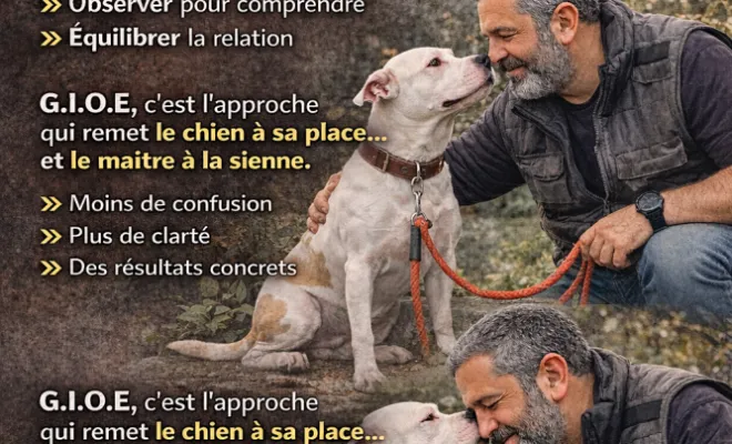 Relation avec mon chien, Cambrai, Centre canin Michel Gioé
