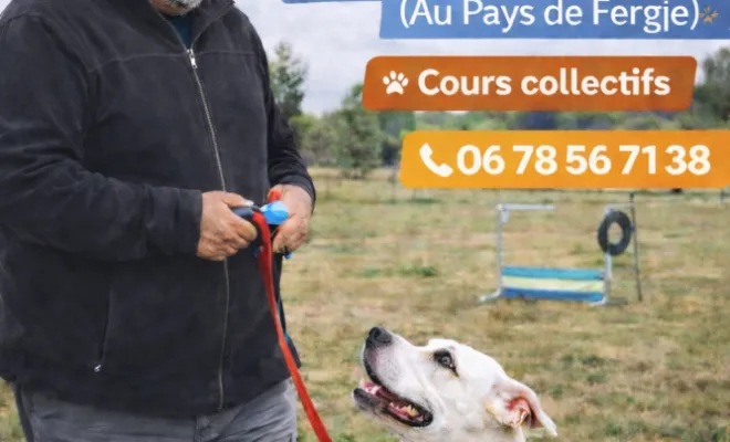 Relation avec mon chien, Cambrai, Centre canin Michel Gioé